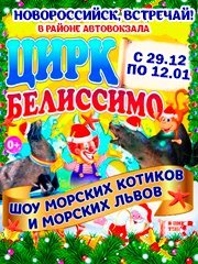 Цирк "Белиссимо" г. Новороссийск