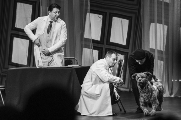 &Scy;&ocy;&bcy;&acy;&chcy;&softcy;&iecy; &scy;&iecy;&rcy;&dcy;&tscy;&iecy; &gcy;&period; &Ncy;&ocy;&vcy;&ocy;&rcy;&ocy;&scy;&scy;&icy;&jcy;&scy;&kcy;